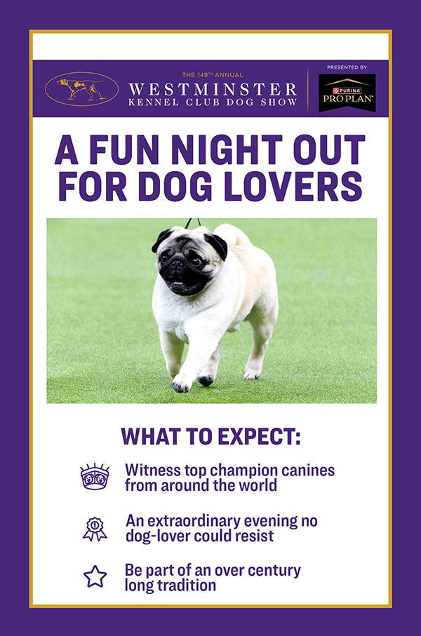 Westminster Kennel Club Dog Show presented by Purina. A Fun Night Out for Dog Lovers. What to Expect: Witness top champion canines from around the world. An extraordinary evening no dog-lover could resist. Be part of an over century long tradition.